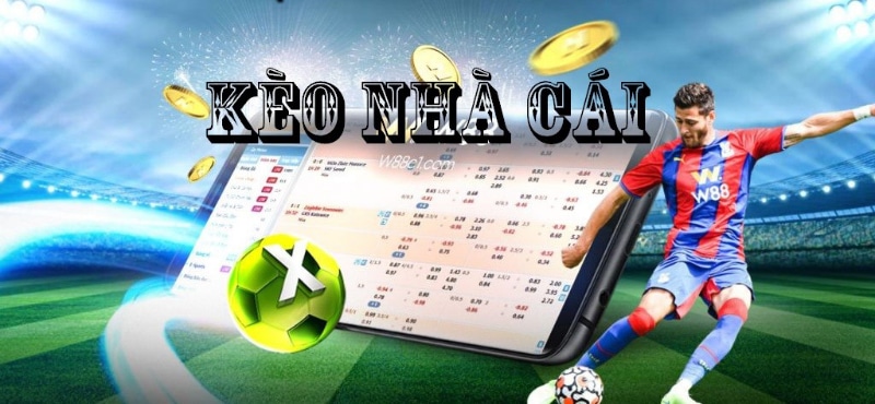 Kinh Nghiệm Chơi Cá Độ Bóng Đá – Tỉ Lệ Thắng > 65% Chọn và áp dụng chiến thuật soi kèo kỹ lưỡng